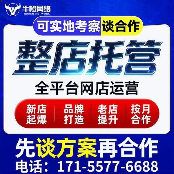 呼伦贝尔电商代运营
