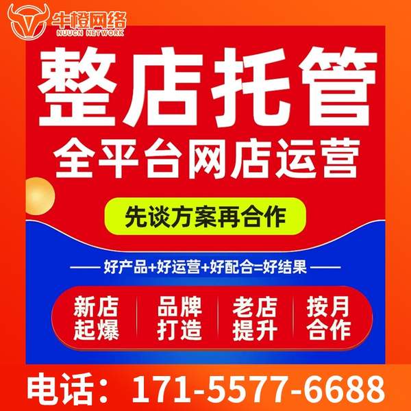 呼伦贝尔电商代运营