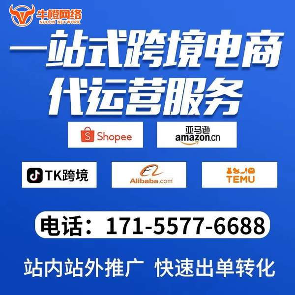 呼伦贝尔电商代运营